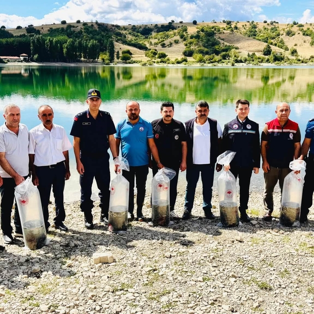 Uluköy Barajı'na 75 bin sazan yavrusu bırakıldı
