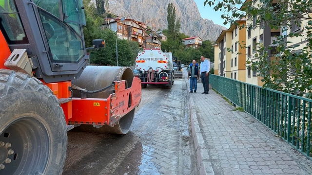 Kemaliye'de doğalgaz çalışmaları sürüyor