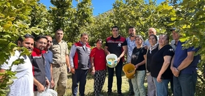 Kemah'ta nadir üretim: Fındık hasadı yapıldı