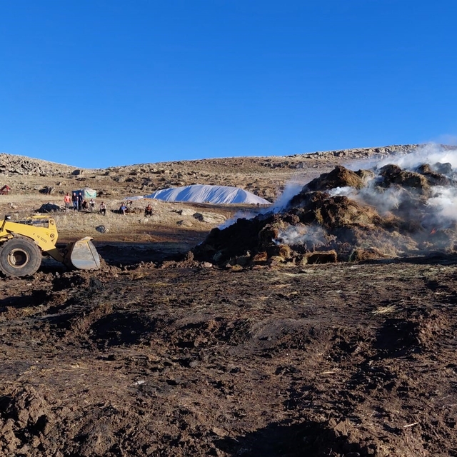 Erzurum'da 10 bin balya ot kül oldu
