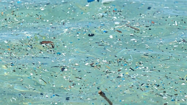 Plastik üretimi 24 yılda yüzde 84 arttı: 2060'a kadar üç katına çıkabilir