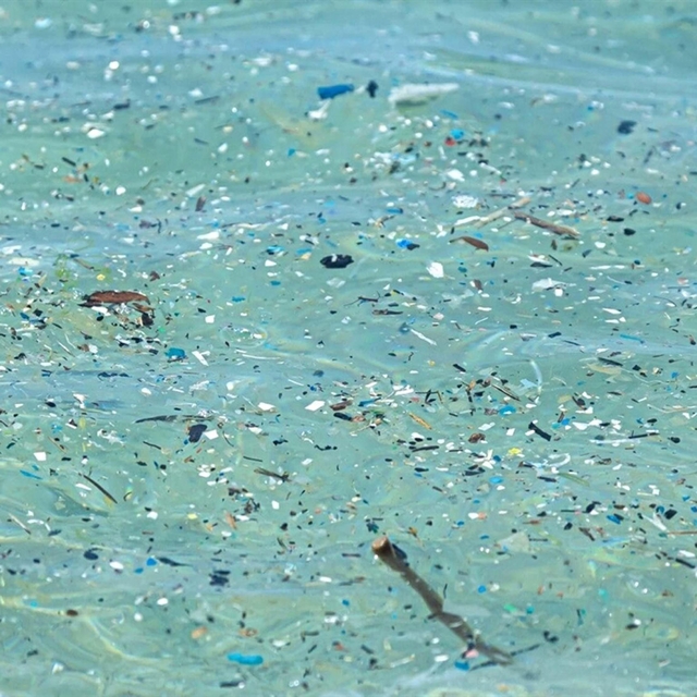 Plastik üretimi 24 yılda yüzde 84 arttı: 2060'a kadar üç katına çıkabilir