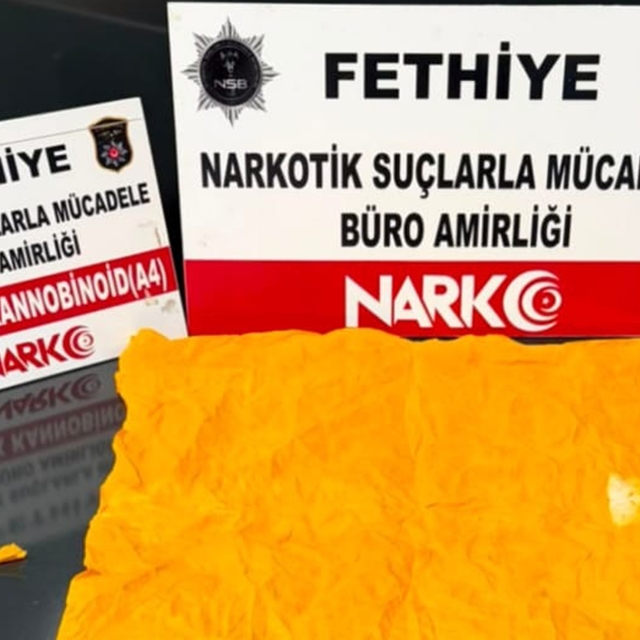 Muğla'da uyuşturucu operasyonları: 310 gözaltı, 48 tutuklama