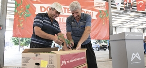 Mersin'de 200 üreticiye yüzde 70 hibeli domates fidesi desteği