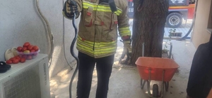 Antakya'da eve giren yılan ekipler tarafından yakalandı