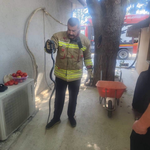 Antakya'da eve giren yılan ekipler tarafından yakalandı