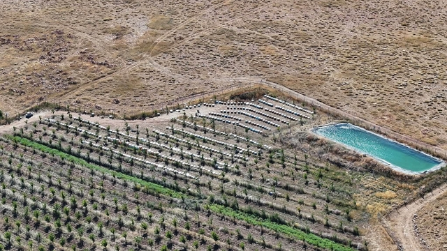 Niğde'nin bin 800 rakımlı Tumlu Yaylası'nda Geven Balı bereketi