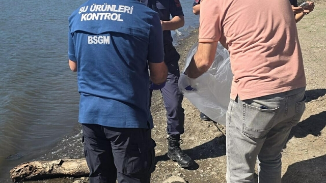 Çanakkale'de barajdaki balık ölümlerine inceleme