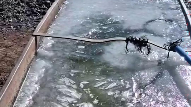 Kars'ta eyül ayında sular buz tuttu