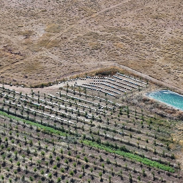 Niğde'nin bin 800 rakımlı Tumlu Yaylası'nda Geven Balı bereketi