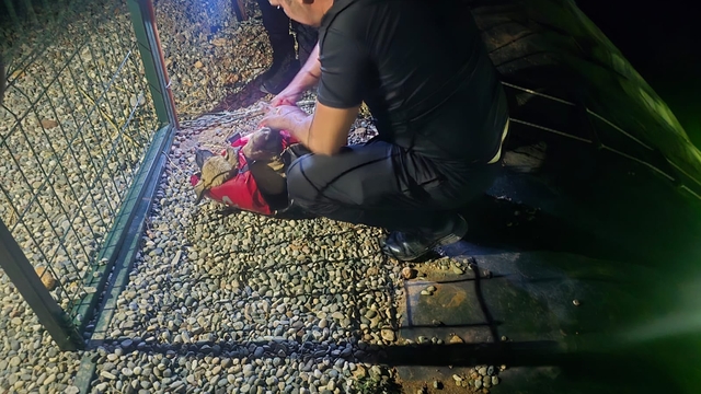 Gölete düşen yavru köpeği dalgıç polisler kurtardı