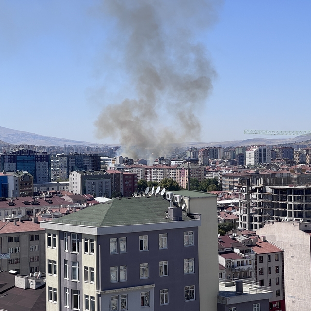 Ot yangınında 6 dönüm alan kül oldu