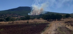 Eskişehir'de ormanlık alanda çıkan yangın kontrol altına alınmaya çalışılıy...