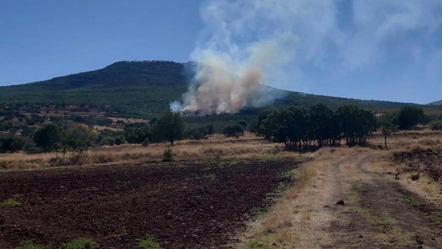 Eskişehir'de ormanlık alanda çıkan yangın kontrol altına alınmaya çalışılıyor