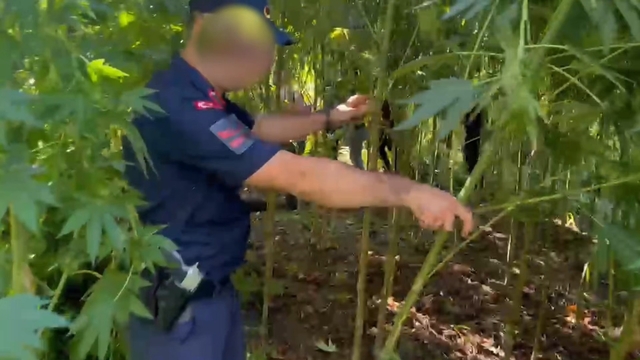 Sakarya'da kaçakçılık ve uyuşturucu operasyonu: 2 tutuklama