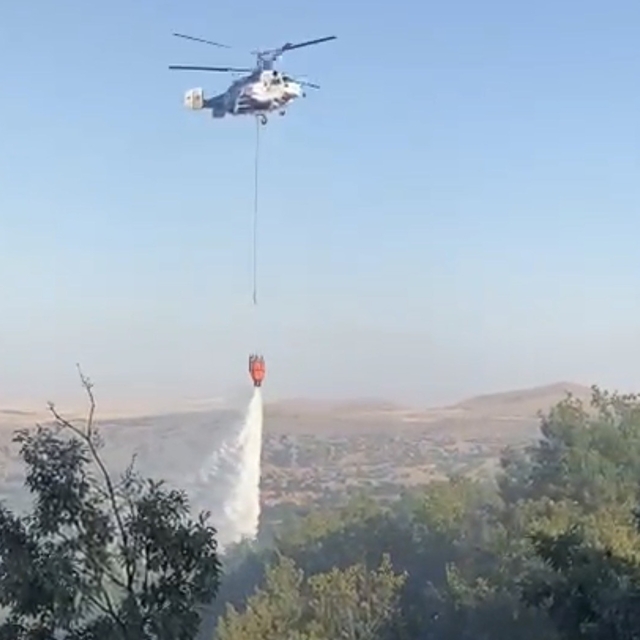 Eskişehir'de meşelik alanda çıkan yangın kontrol altına alındı