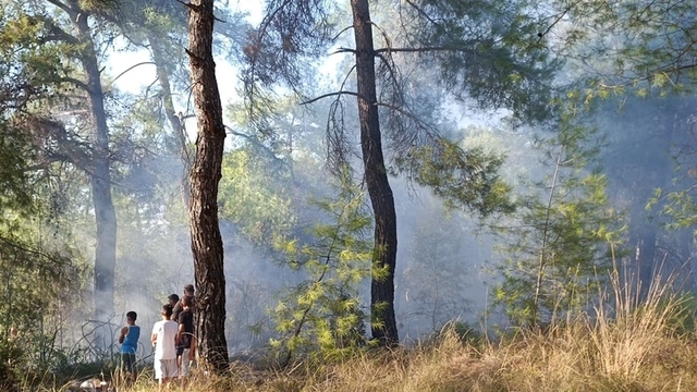 Köyceğiz'de orman yangınına erken müdahale