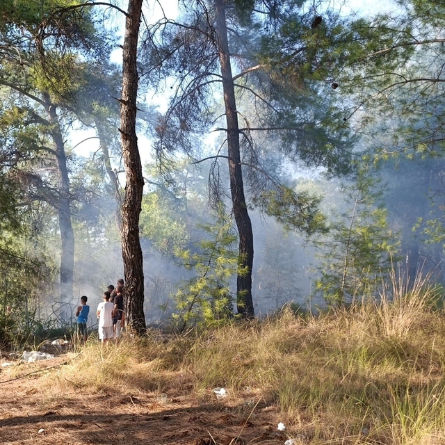 Köyceğiz'de orman yangınına erken müdahale