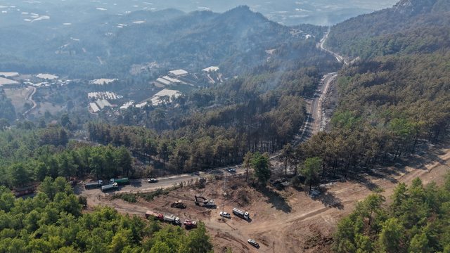 Antalya Kumluca'daki orman yangın tamamen kontrol altında (3)