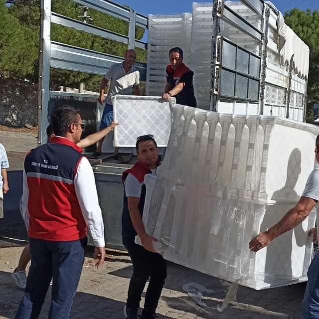 Söke'de incir üreticilerine yüzde 50 hibeli kerevet desteği