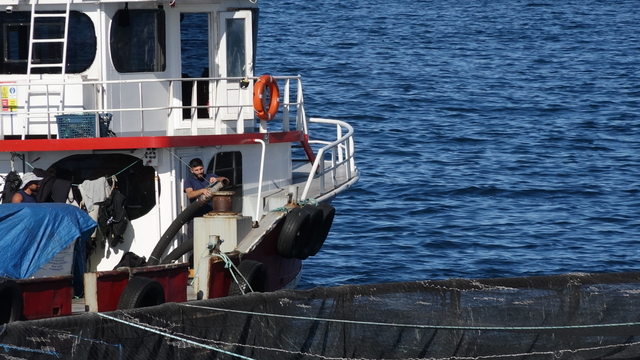 COP31 öncesi öğrencilerden Karadeniz'e yakın mercek