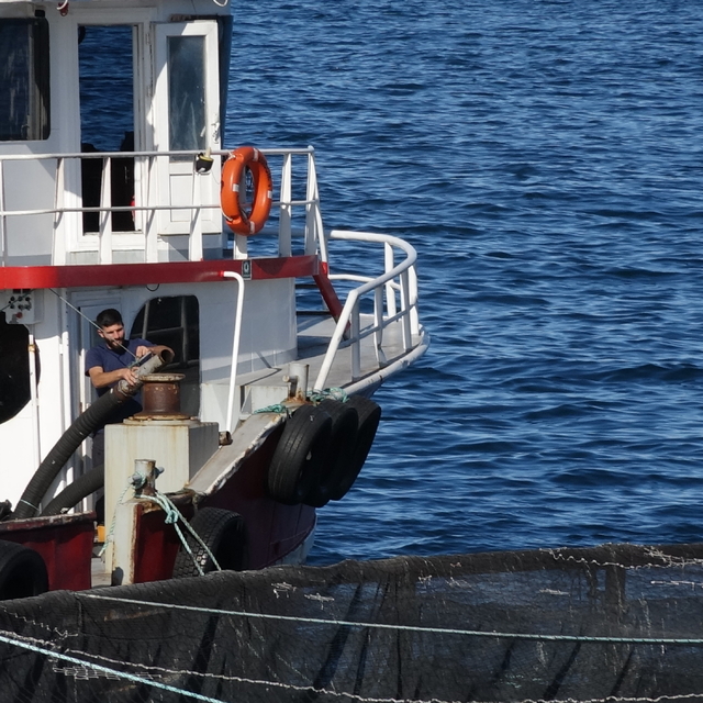 COP31 öncesi öğrencilerden Karadeniz'e yakın mercek