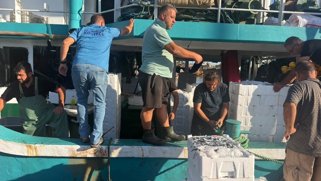 Hamsi avında kota dönemi başladı, denetimler sürüyor