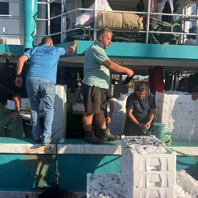 Hamsi avında kota dönemi başladı, denetimler sürüyor