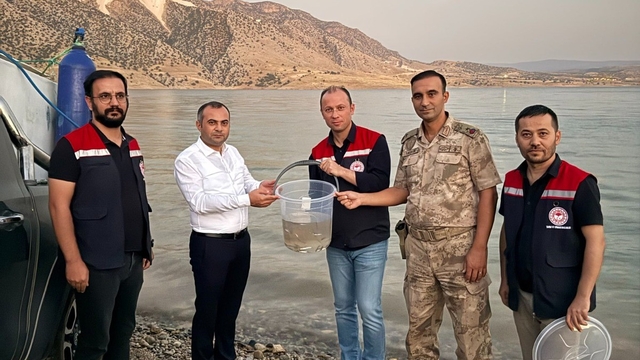 Mardin Ilısu Barajına 1 milyon şabut balığı bırakıldı