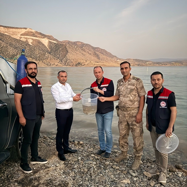Mardin Ilısu Barajına 1 milyon şabut balığı bırakıldı