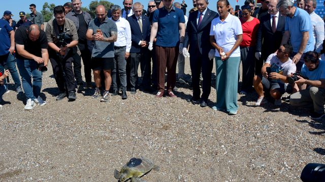 Yeşil deniz kaplumbağası 'Hanzala', uydu cihazıyla Akdeniz'e gönderildi