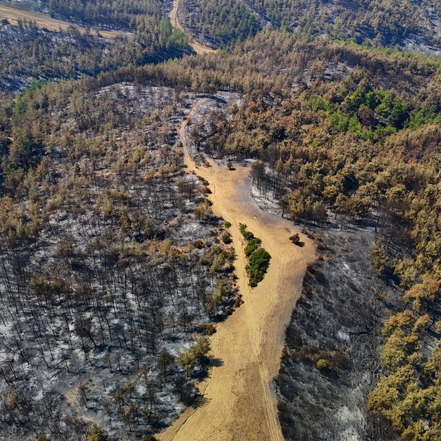 Adana'daki orman yangını kontrol altına alındı