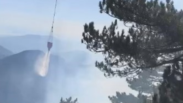 Fethiye'de orman yangını