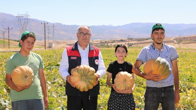 Elazığ'da kabak hasadı başladı: 4 bin tonun üzerinde rekolte bekleniyor
