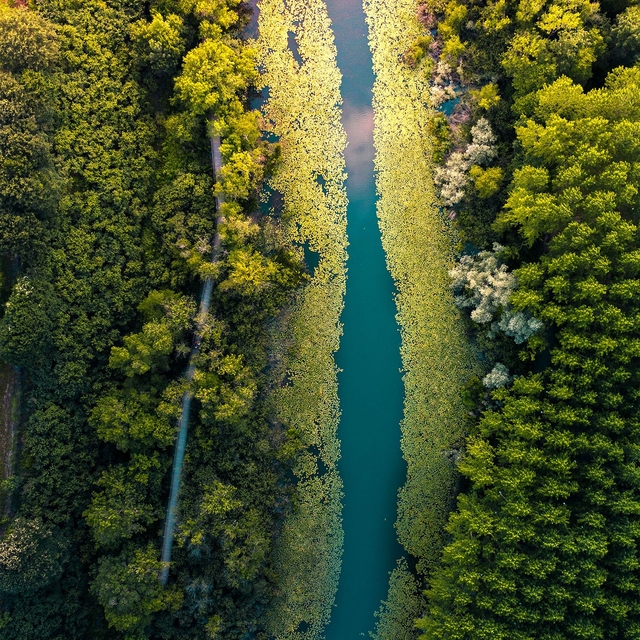 Sakarya'nın yeşil güzelliklerine 550 bin ziyaretçi uğradı