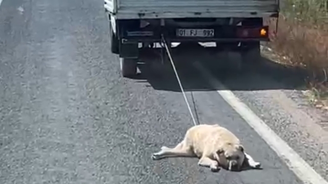 Köpeği kamyonetin arkasına bağlayıp sürükleyerek götürdü