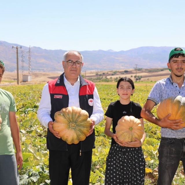 Elazığ'da kabak hasadı başladı: 4 bin tonun üzerinde rekolte bekleniyor