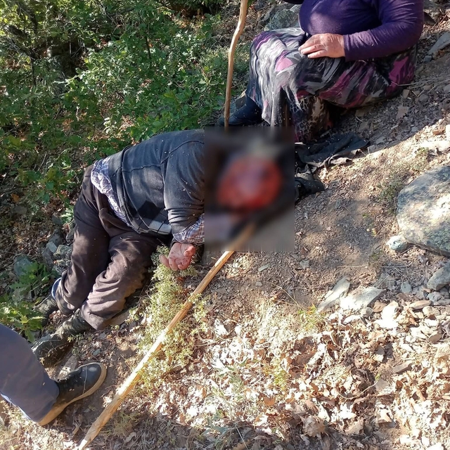 Kuşburnu toplarken 30 metreden yuvarlanıp yaralandı