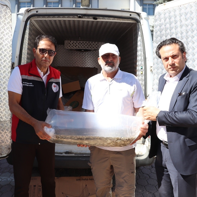 Sivas'ta yüzbinlerce yavru balık göl ve göletlere bırakıldı