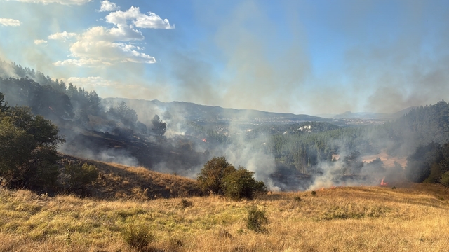 Burdur'da orman yangını havadan ve karadan müdahaleyle kontrol altına alındı