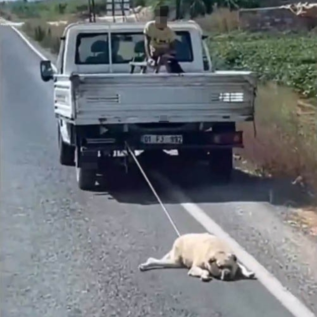 Köpeği kamyonetin arkasına bağlayıp sürükleyerek götürdü