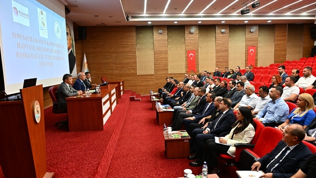 Denizli'de sahipsiz hayvanlar için kritik zirve