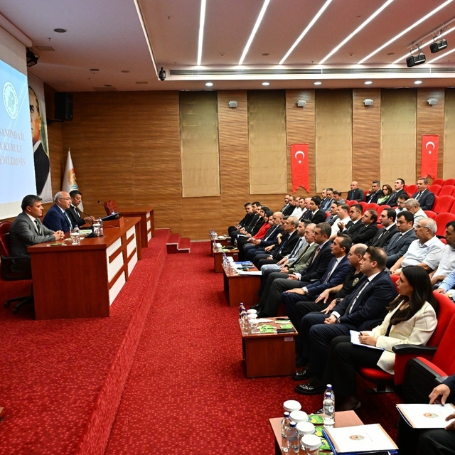 Denizli'de sahipsiz hayvanlar için kritik zirve