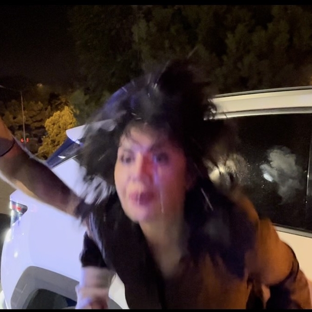 Gazetecilere tükürüp, polise saldıran kadın sürücü 2.45 promil alkollü çıkt...