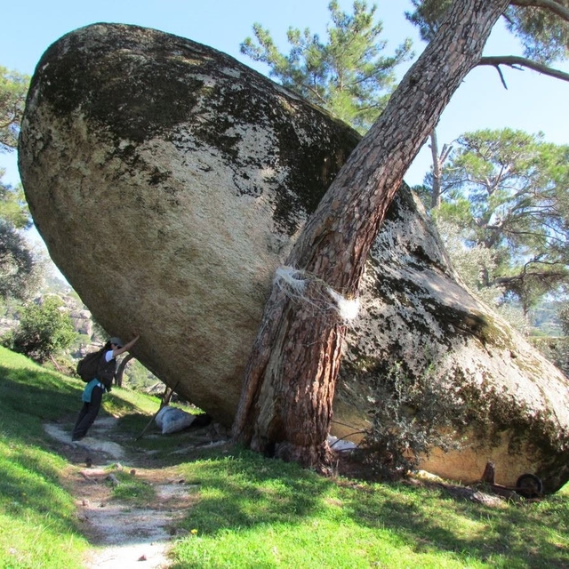 Latmos için milli park çağrısı