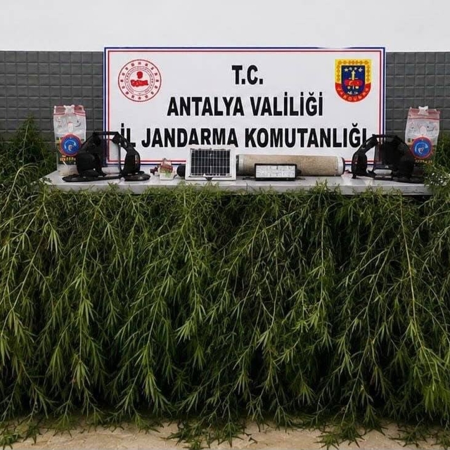 Aksu'da yasadışı kenevir operasyonu