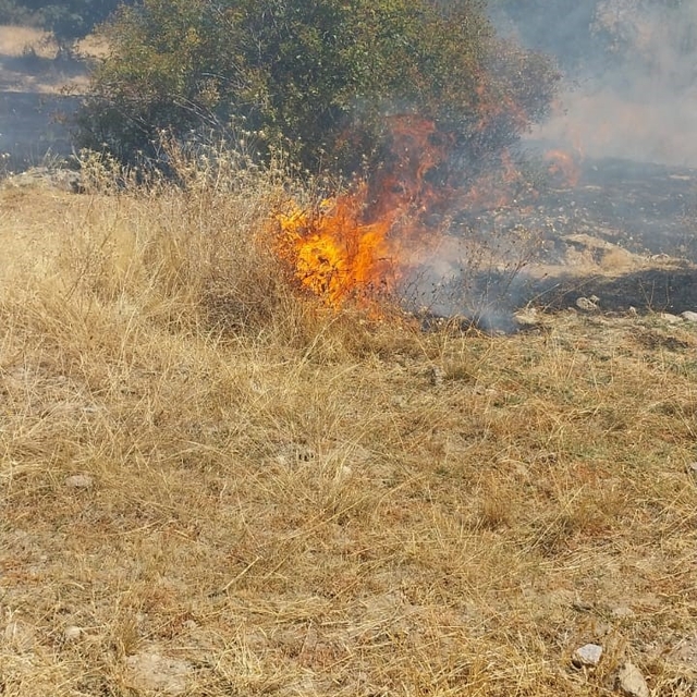 Şuhut'ta bir günde 5 ayrı noktada arazi yangını