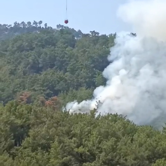 Kozan'da orman yangını