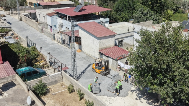 tarsus