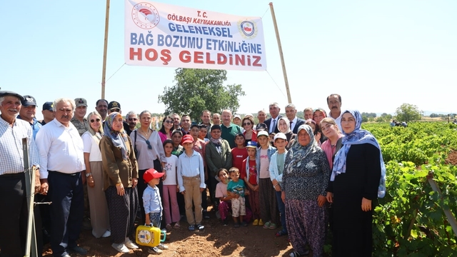 Gölbaşı'nda bağ bozumu heyecanı başladı